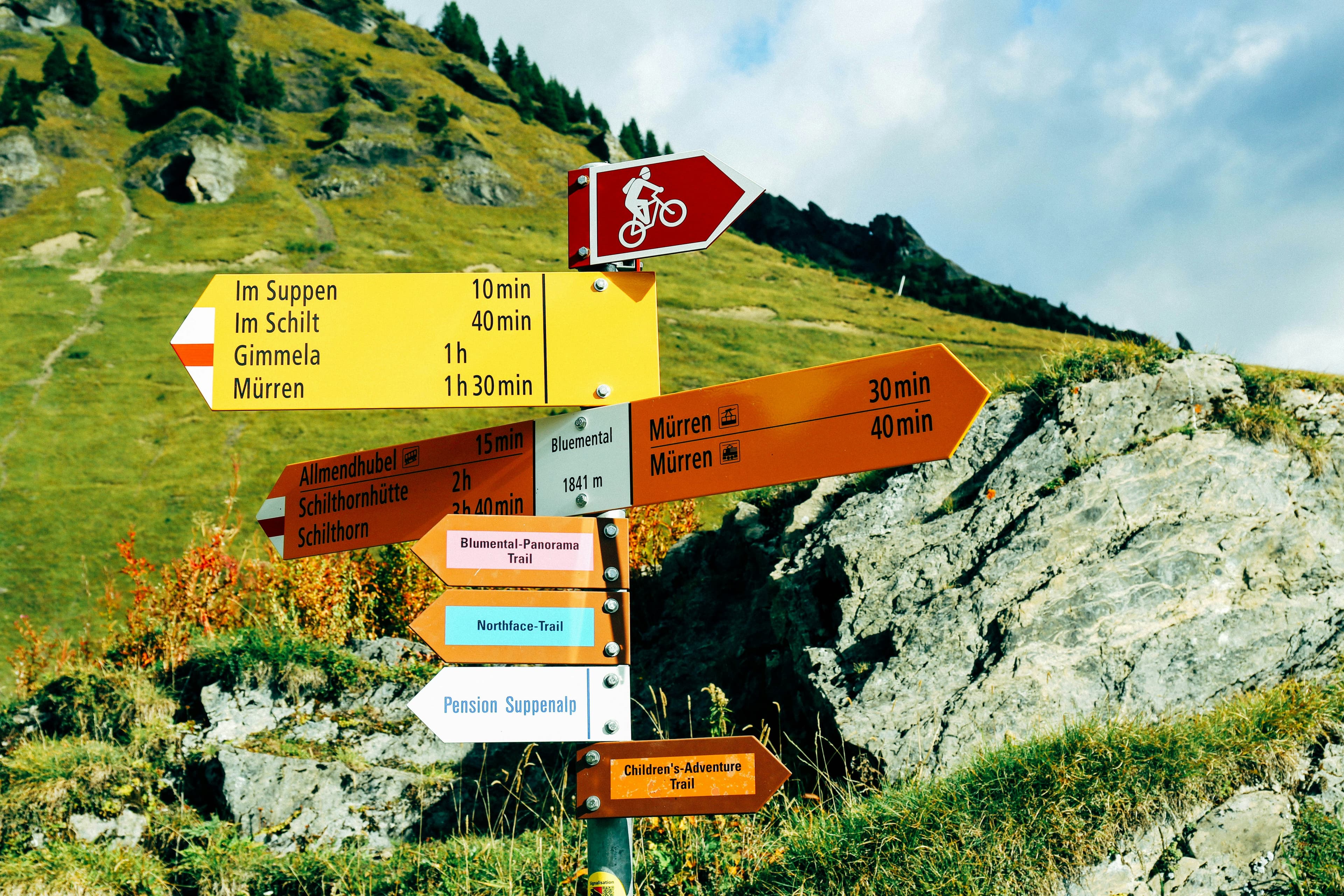 Foto de tommao wang en Unsplash